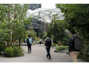 The Amazon Inc. headquarters in Seattle, Washington, US, on Tuesday, Sept. 24, 2024. Seattle is joining liberal strongholds such as San Francisco and Portland, Oregon, in cracking down on drug-riddled areas to stem a spiraling crisis tied to fentanyl, the deadly synthetic opioid.