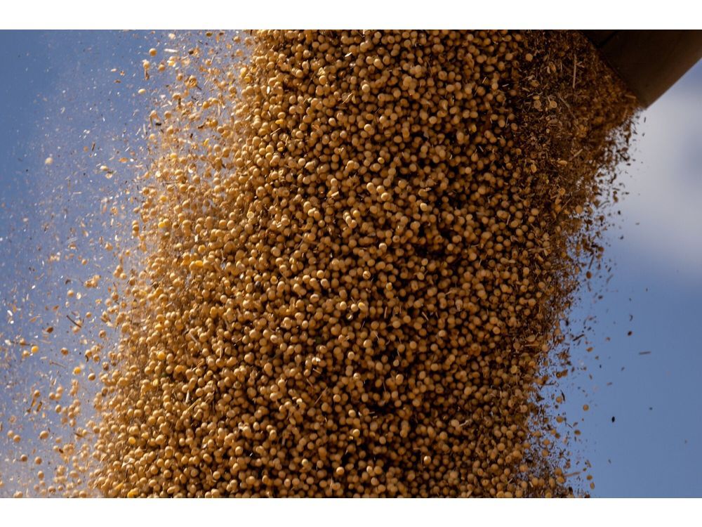 China Approval for Bunge’s Viterra Deal Comes With Demands