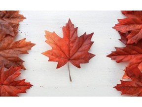An image of Maple leaf on white wood-like background