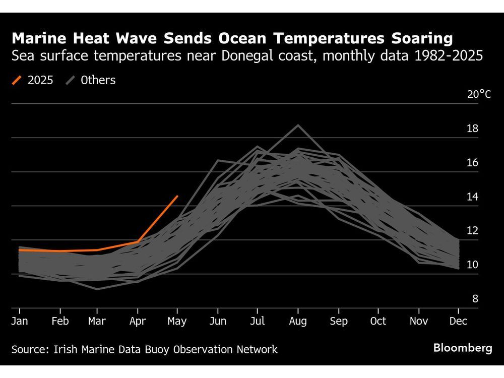 Five Key Charts to Watch in Global Commodity Markets This Week