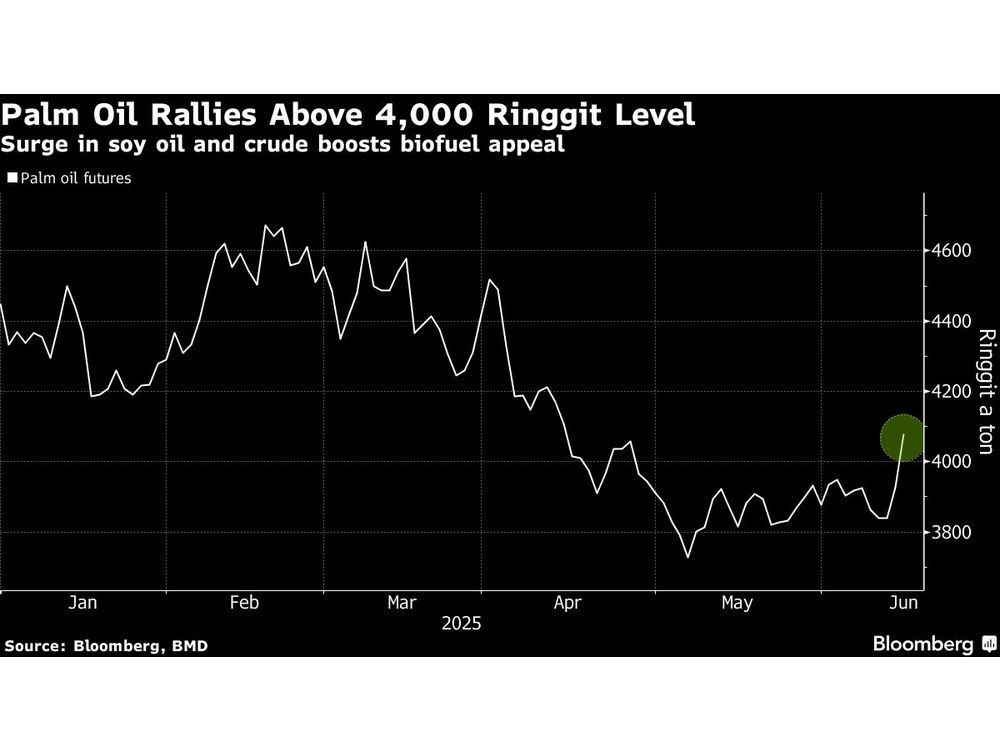 Palm Oil Jumps Above 4,000 Ringgit Mark to Track Soy Oil, Crude