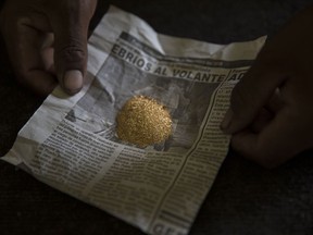 FILE - Gold collected after a day of work is ready to be weighed April 5, 2019, in Madre de Dios, Peru.
