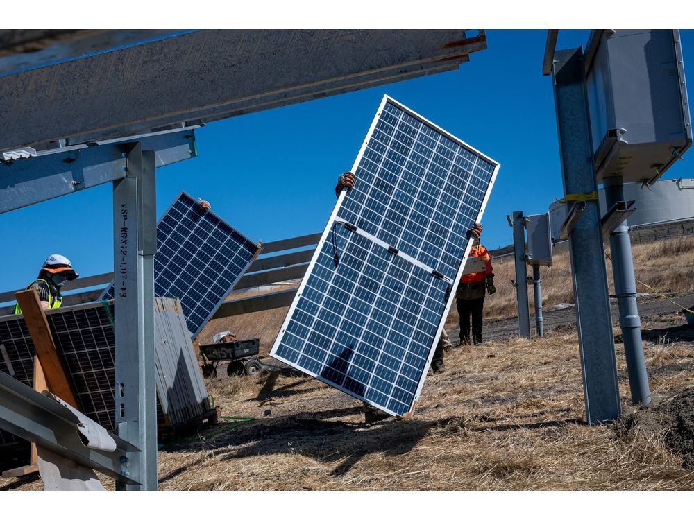How to Fight Against Trump’s Attack on Clean Energy