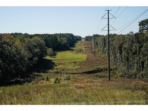 A transmission line in Fayetteville, Georgia.