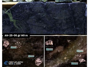 AN-25-06 at 149 meters downhole showing disseminated awaruite nickel-alloy disseminated throughout serpentinized ultramafic peridotite. Bottom images show photomicroscope grains of nickel-alloy along the cut core surface.
