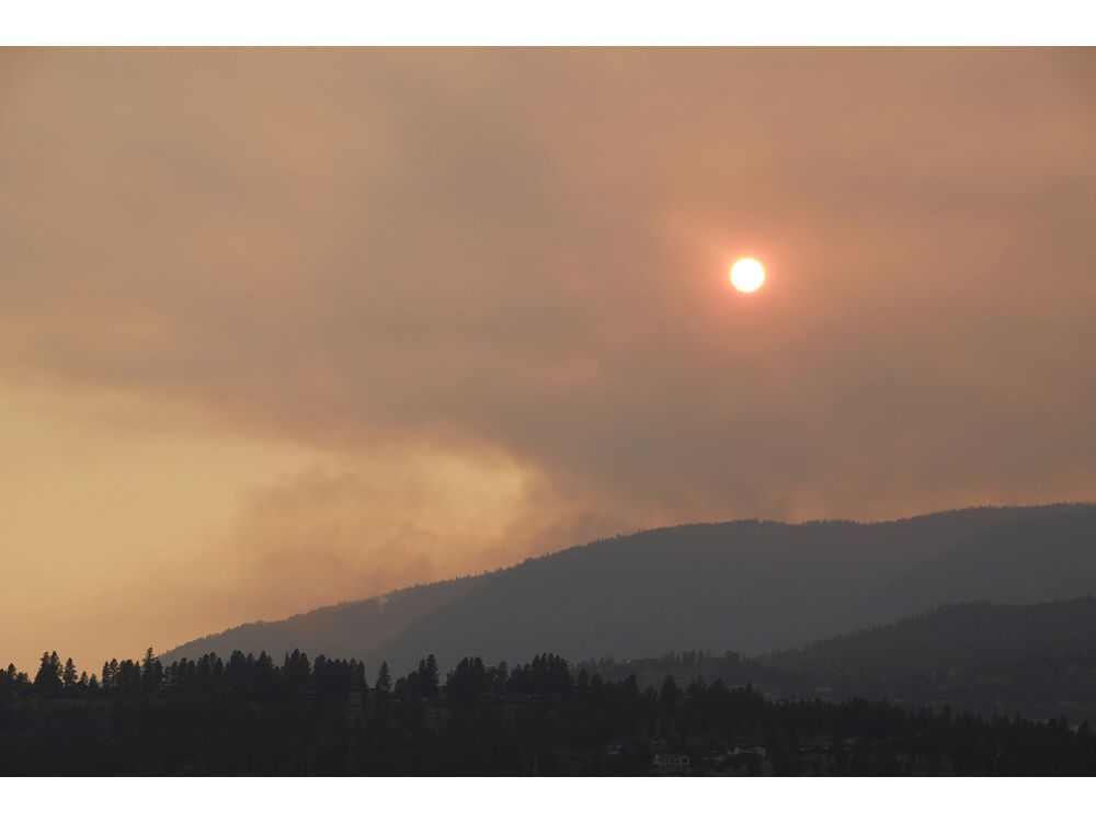 Canada’s 2023 Wildfires Pushed Air Pollution to Decade-Level Highs