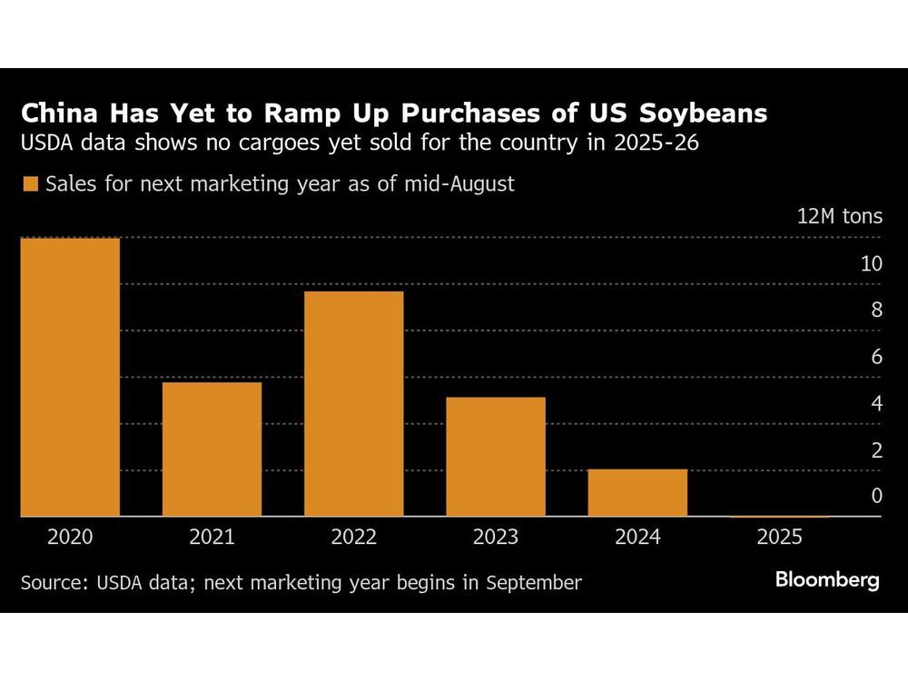 China’s Soy Crushers May Be Facing a Winter Without US Beans