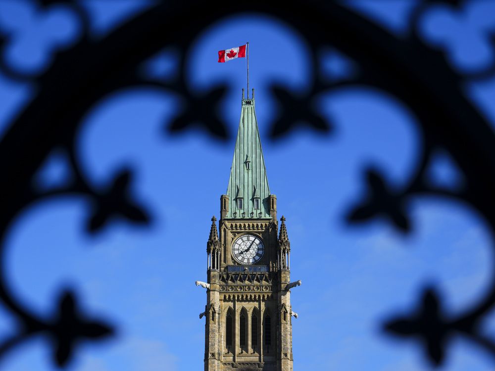 Matthew Lau: Comedic policy relief from Canada’s left