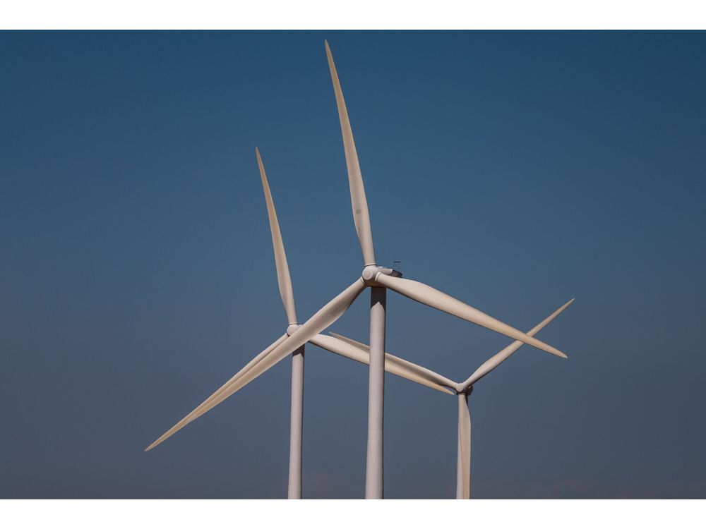 Trump Files to Cancel Approval of Maryland Offshore Wind Farm