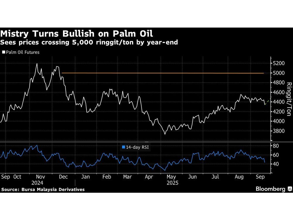 Palm Oil May Surpass 5,000 Ringgit on Supply Crunch, Mistry Says ...