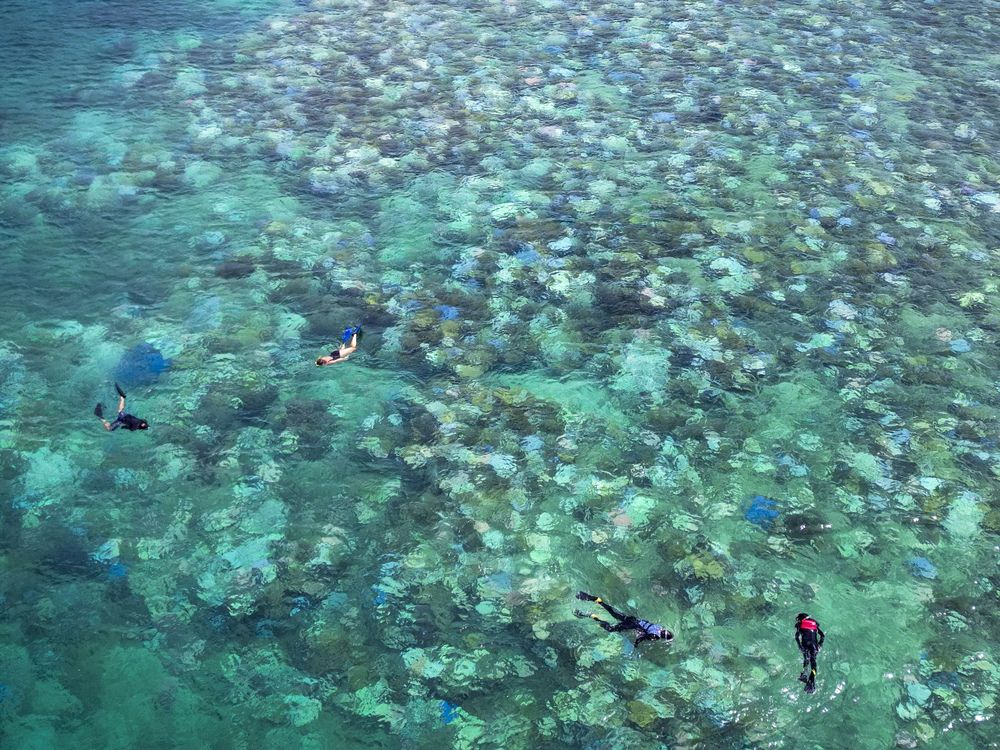 Bjorn Lomborg: Media reef madness a great barrier to good policy