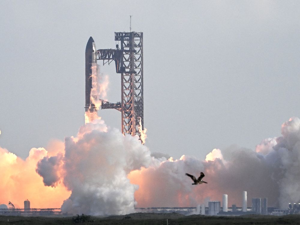 https://smartcdn.gprod.postmedia.digital/financialpost/wp-content/uploads/2025/10/1021-bc-spacex.jpg