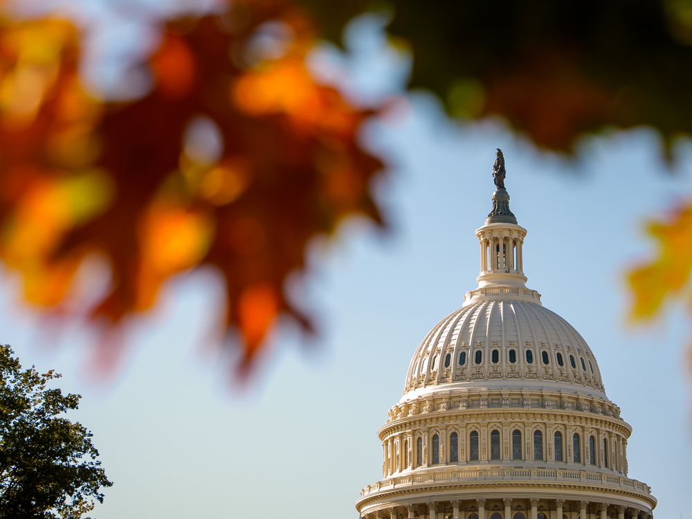 Image for article William Watson TikTok politics wont fix the U.S. fiscal mess