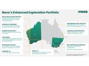 About Novo Resources