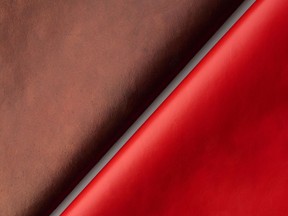 Qorium is successfully producing sustainable real leather