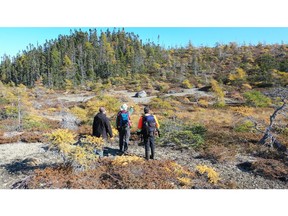 Standing in a portion of the RPM Zone, with typical dry mound-type topography lacking vegetation due to high magnesium content in underlying ultramafic rocks.