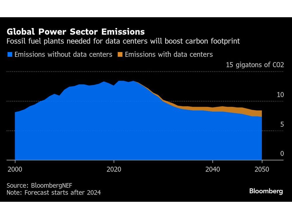 Green Investors Enjoy Huge Returns as Stock Market Powers Through Trump’s Attacks