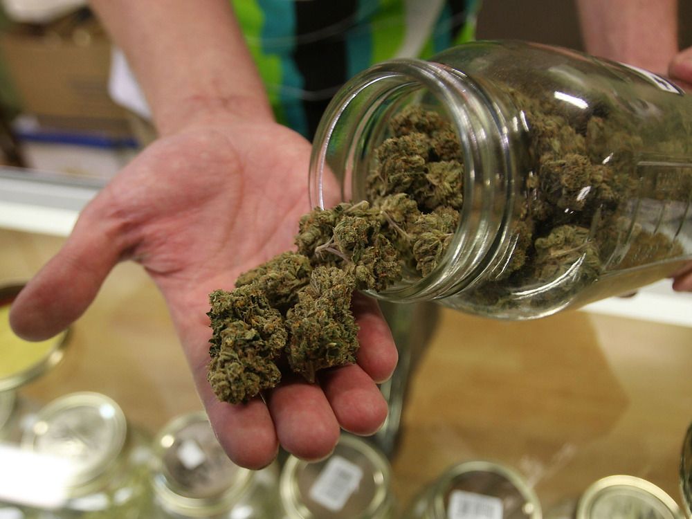 Trump’s plan to push for cannabis rescheduling lifts pot stocks