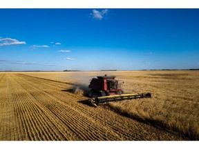 Heywood Yu/Bloomberg