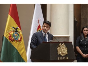 Bolivia's Foreign Minister Fernando Aramayo speaks during a swearing in ceremony in La Paz on Nov. 9.
