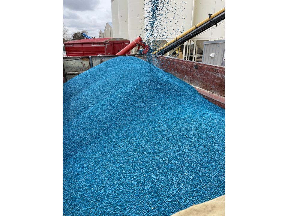 Image for article Bayer Crop Science Canada Launches EverGol Rise for Enhanced User Experience in Pulse Disease Control