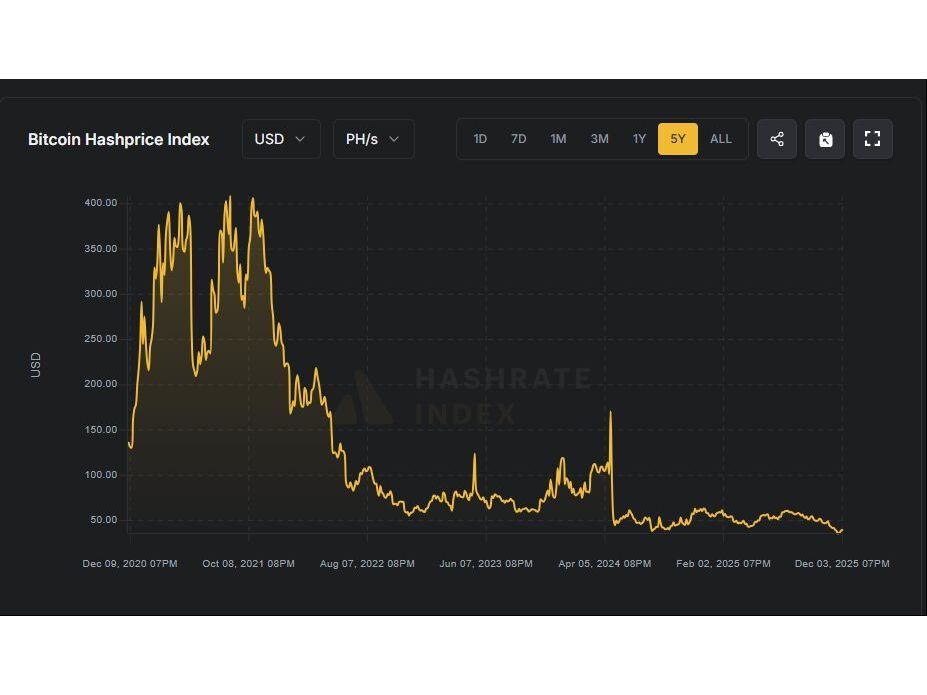 Crypto Winter Squeezes Bitcoin Miners as AI Pivot Gains Urgency