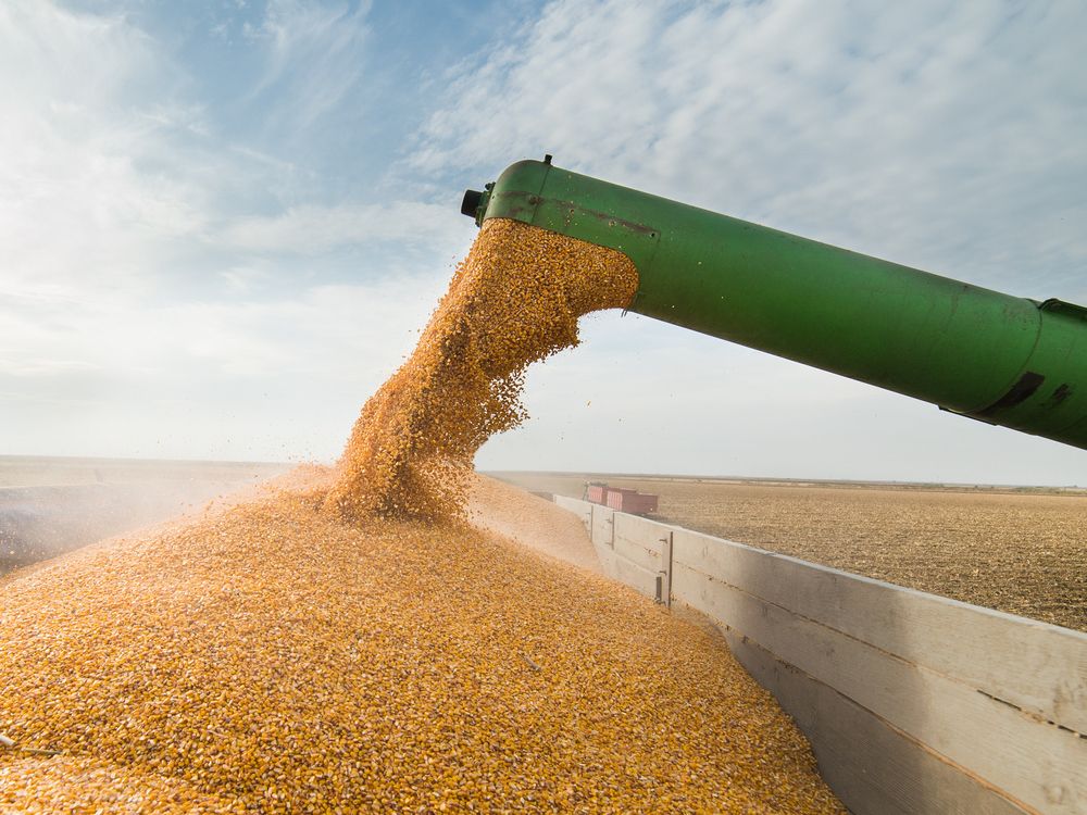 Activist Plantro pushes for board overhaul at Ag Growth