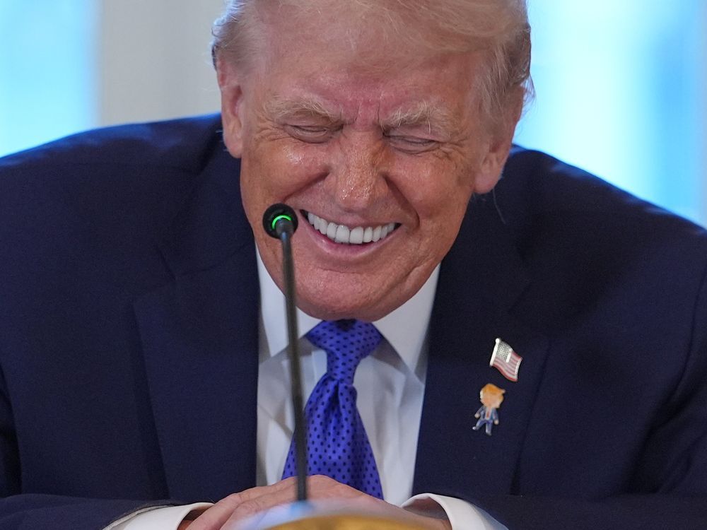 Trump Dismisses Capturing Putin, Expresses Ukraine War Disappointment | Quick Digest