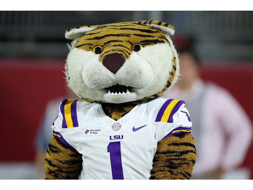 Colleges Hunt New Sponsor Deals After NCAA Allows Ads on Jerseys