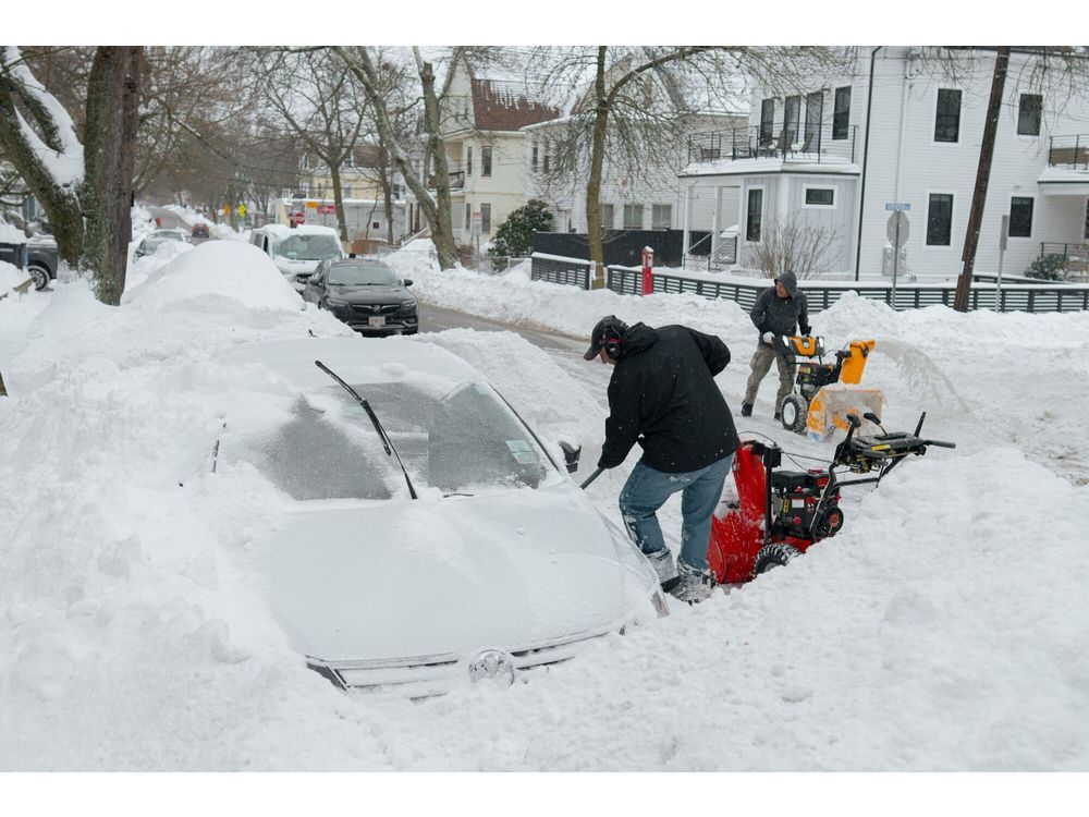 Florida Citrus at Risk as Arctic Blast, Snow Hit Southeastern US