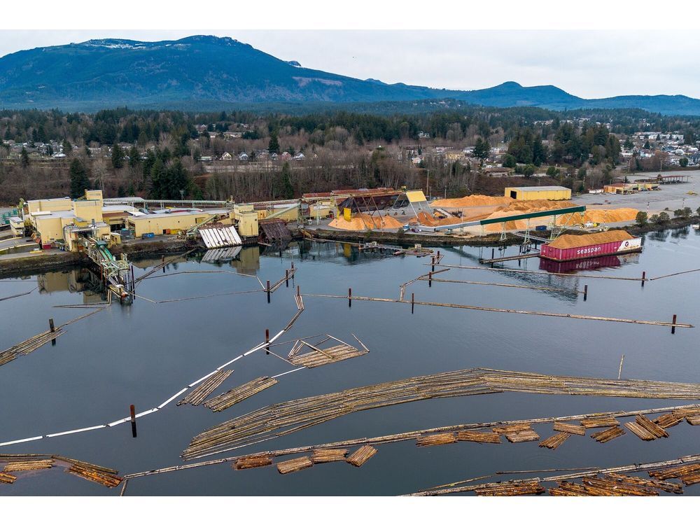 The Western Forest Products Chemainus Sawmill and log sort in Chemainus, British Columbia. Canadian forestry and logging activity reached a record low level in November.
