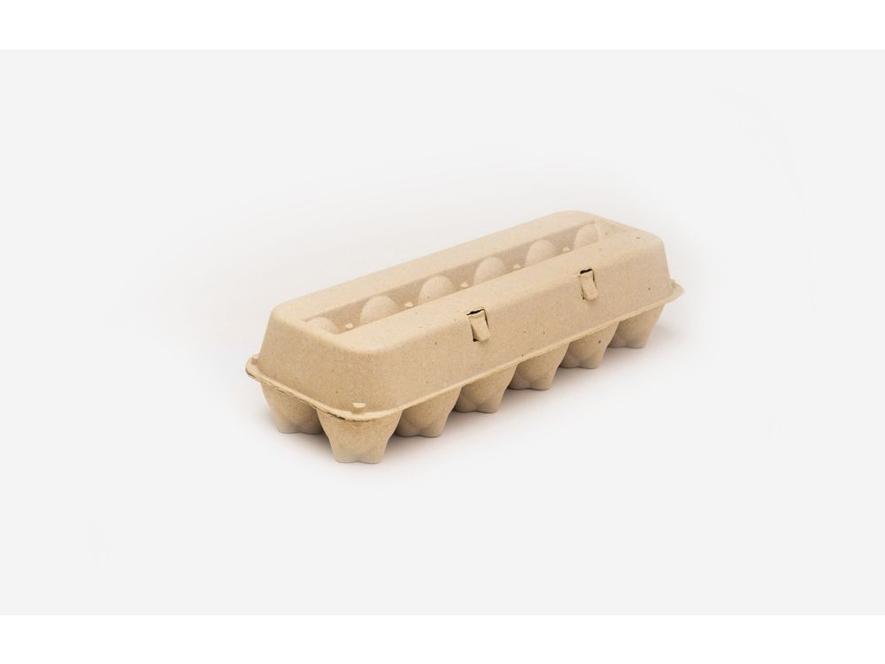 Egg Carton