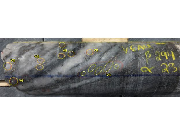 Figure 1. Multiple instances of visible gold in hole RLG-25-192b within a sheared smoky quartz vein. Drill core is HQ (63.5mm) diameter.