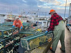 Lobster fishermen