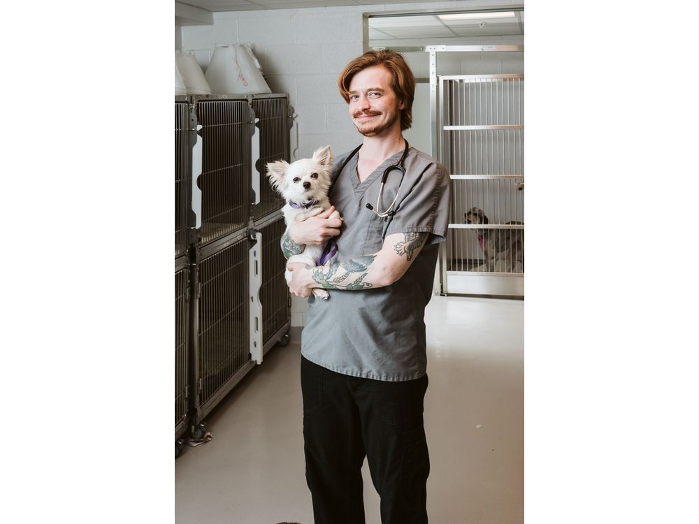 A Veterinary Technician immersed in active veterinary clinic training.