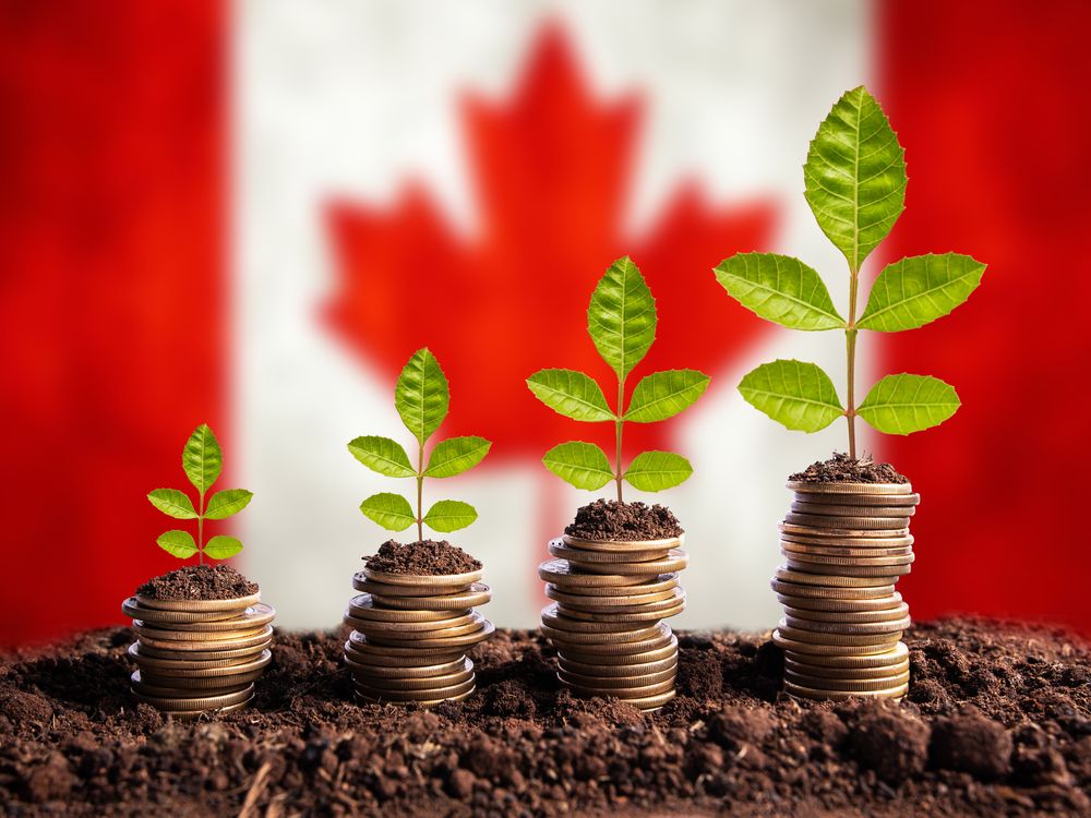 Economy Canada concept finance money is born in soil on plant with coins for successful investment, flag background.