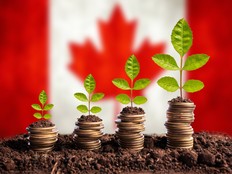 Economy Canada concept finance money is born in soil on plant with coins for successful investment, flag background.