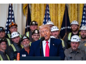 US President Donald Trump speaks during a coal mining executive order signing ceremony in the East Room of the White House on April 8, 2025.
