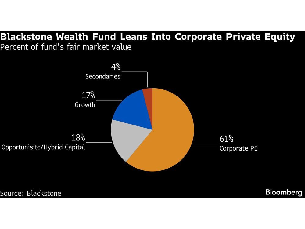 SpaceX, OpenAI Drive 20% Gain in Blackstone Fund for the Wealthy