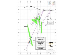 TomaGold's borehole EM survey confirms Berrigan Deep Zone