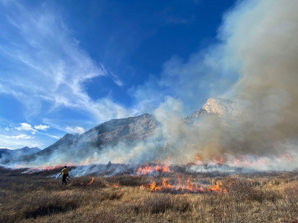 Canada Launches $8M Prescribed Fire Training Program to Combat Wildfires