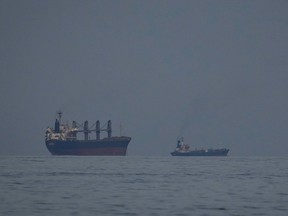 Oil tankers and ships line up in the Strait of Hormuz as seen from Khor Fakkan, United Arab Emirates on March 11, 2026.