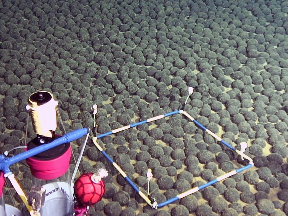 This handout photograph taken on April 17, 2016, and released by The Japan Agency for Marine-Earth Science and Technology (JAMSTEC) on August 26, 2016, shows manganese nodules dense area discovered at some 5,500 meters deep in the exclusive economic zone of Japan, around Minamitorishima located some 1,850 kilometers south of Tokyo.