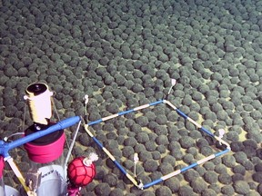 This handout photograph taken on April 17, 2016, and released by The Japan Agency for Marine-Earth Science and Technology (JAMSTEC) on August 26, 2016, shows manganese nodules dense area discovered at some 5,500 meters deep in the exclusive economic zone of Japan, around Minamitorishima located some 1,850 kilometers south of Tokyo.