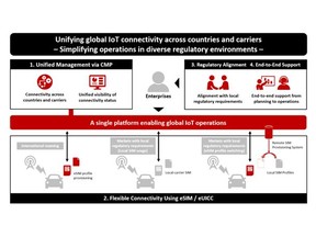 Conceptual Overview of This Partnership