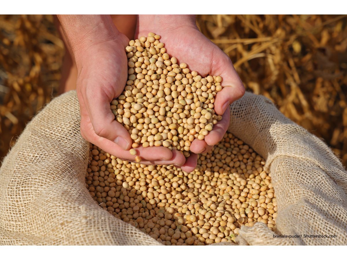 First heart health claim approved for soy protein in Australia and New Zealand.