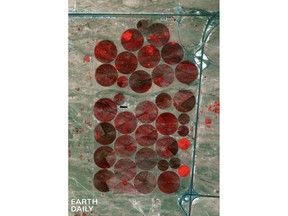 False-color image of irrigation fields captured by EarthDaily's EDC-01 satellite in February 2026.