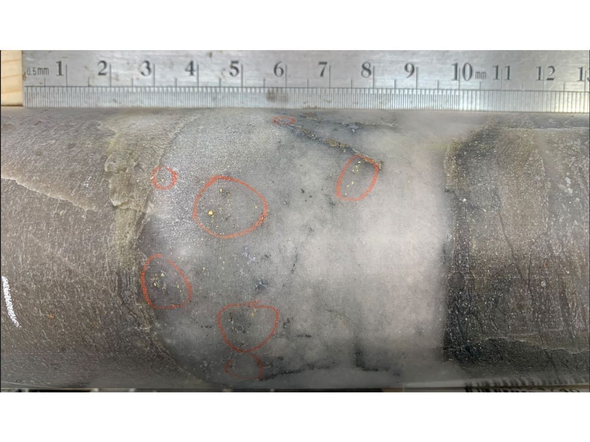 Multiple instances of visible gold in hole RLG-26-210 associated with quartz veining. Drill core is HQ (63.5 mm) diameter.