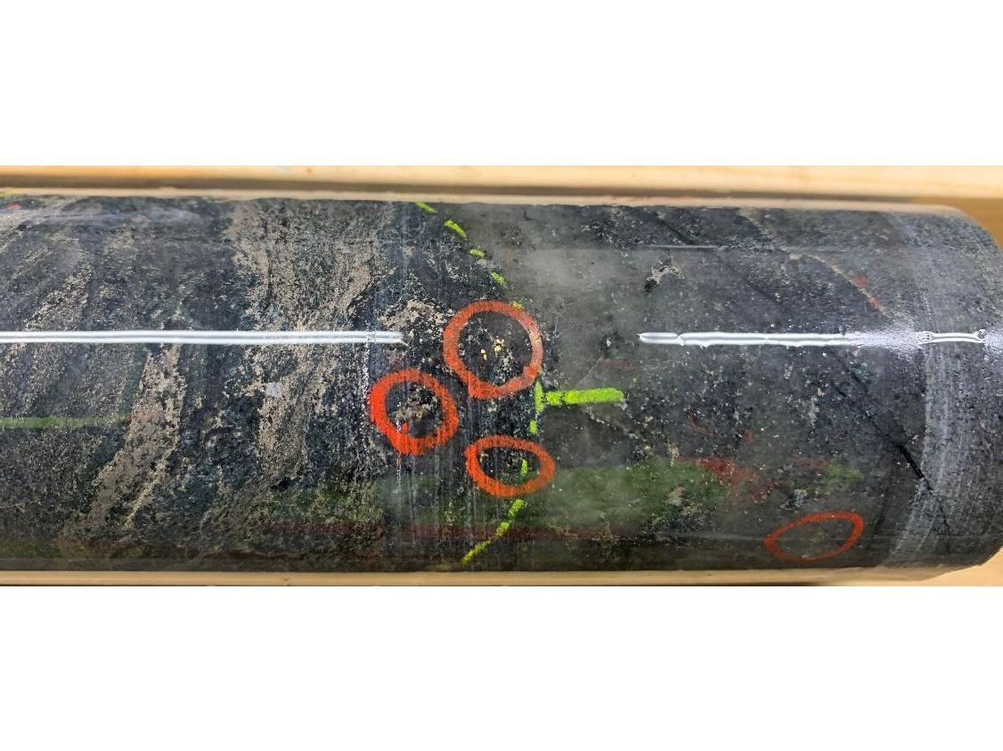 Multiple instances of visible gold in hole WRL-26-047 associated with quartz veining and pyrite + pyrrhotite. Drill core is NQ (47.6 mm) diameter.