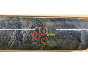 Multiple instances of visible gold in hole WRL-26-047 associated with quartz veining and pyrite + pyrrhotite. Drill core is NQ (47.6 mm) diameter.